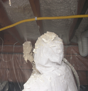 Erie MI crawl space insulation
